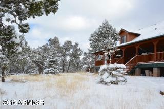 52 County Road 8144 Concho, AZ 85924 - Photo 26 of 27 Home in Winter