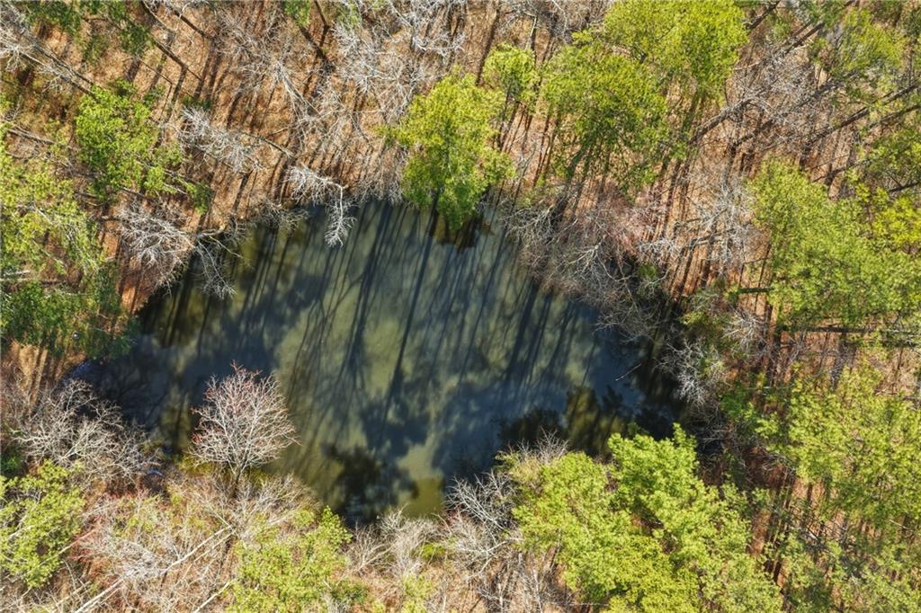 1156 Garmon Road Hiram, GA 30141 - Photo 12 of 43