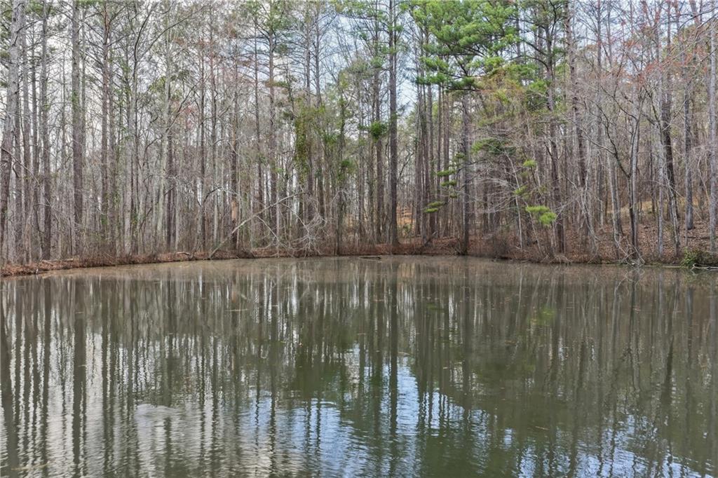 1156 Garmon Road Hiram, GA 30141 - Photo 20 of 43