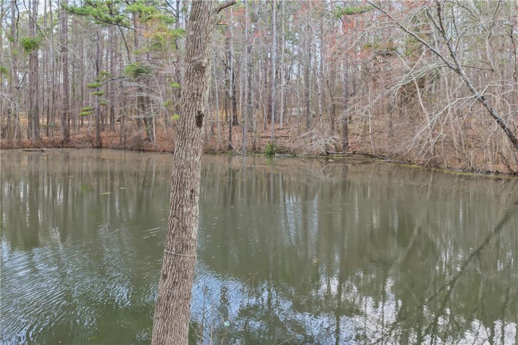 1156 Garmon Road Hiram, GA 30141 - Photo 21 of 43