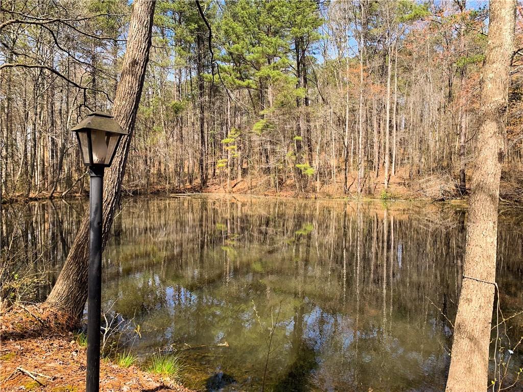 1156 Garmon Road Hiram, GA 30141 - Photo 30 of 43