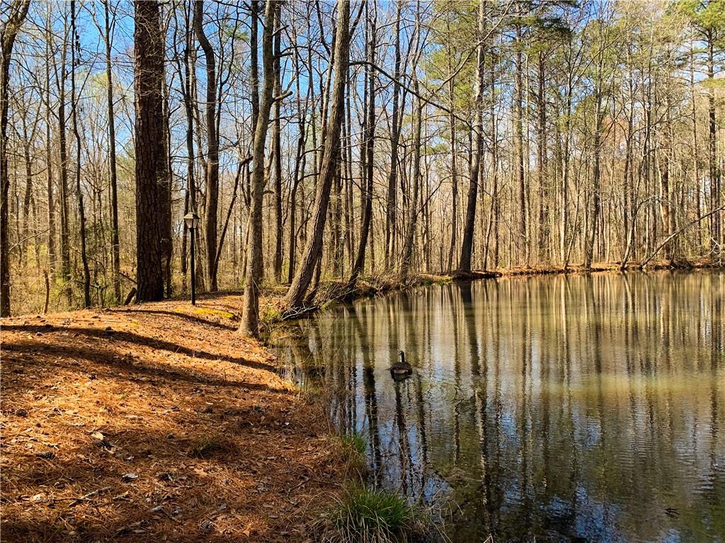 1156 Garmon Road Hiram, GA 30141 - Photo 31 of 43