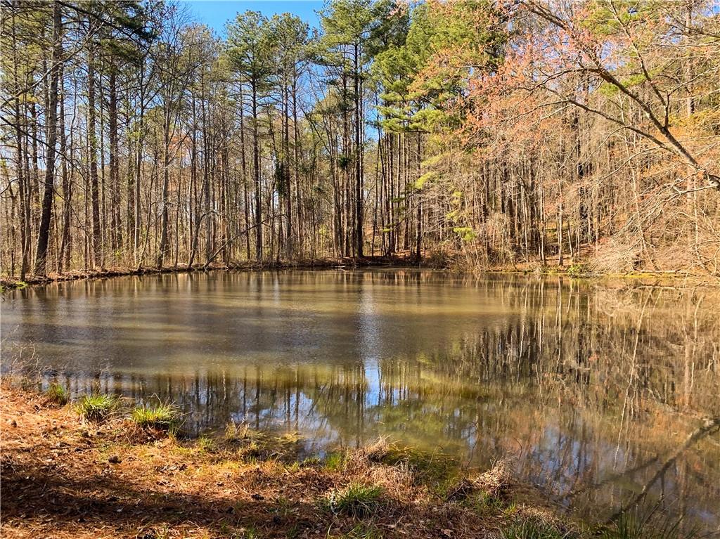 1156 Garmon Road Hiram, GA 30141 - Photo 32 of 43