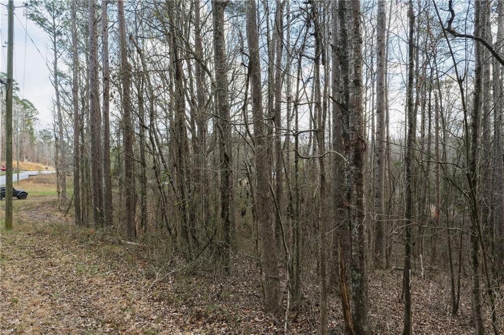 1156 Garmon Road Hiram, GA 30141 - Photo 4 of 43