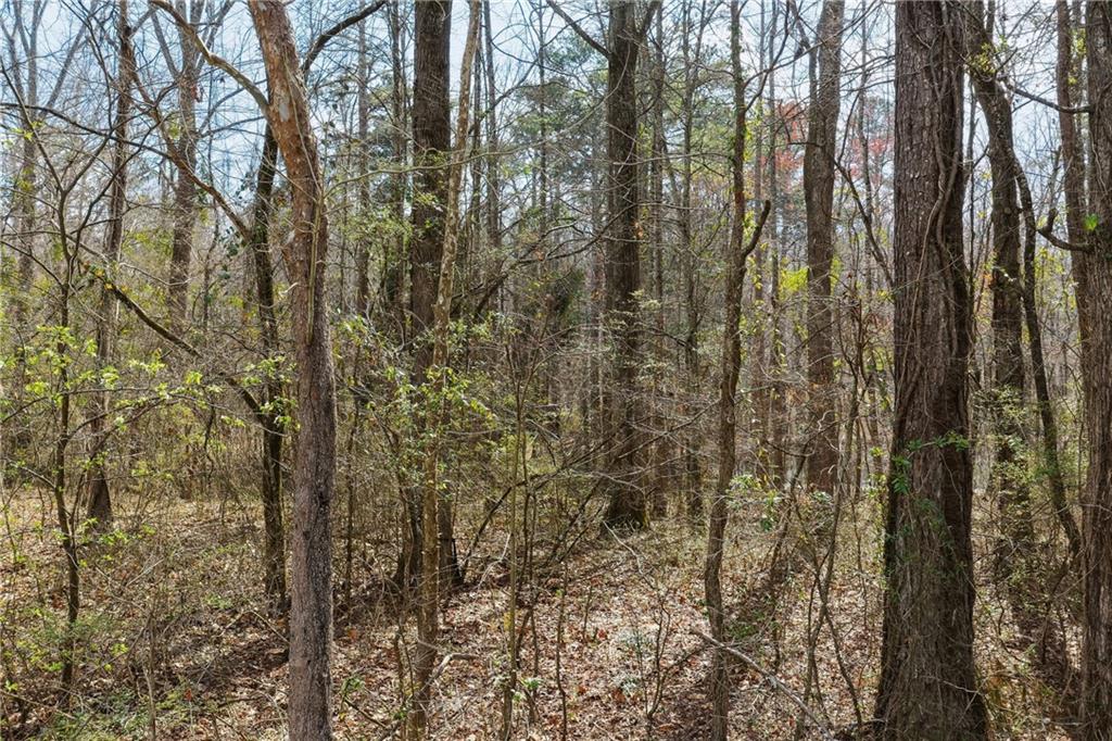 1156 Garmon Road Hiram, GA 30141 - Photo 5 of 43