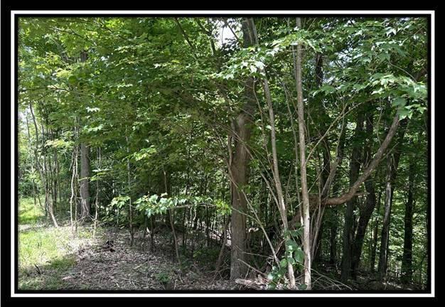 85 Weaver Road, Unit TRACT B) Chillicothe, OH 45601 - Photo 11 of 49 image010