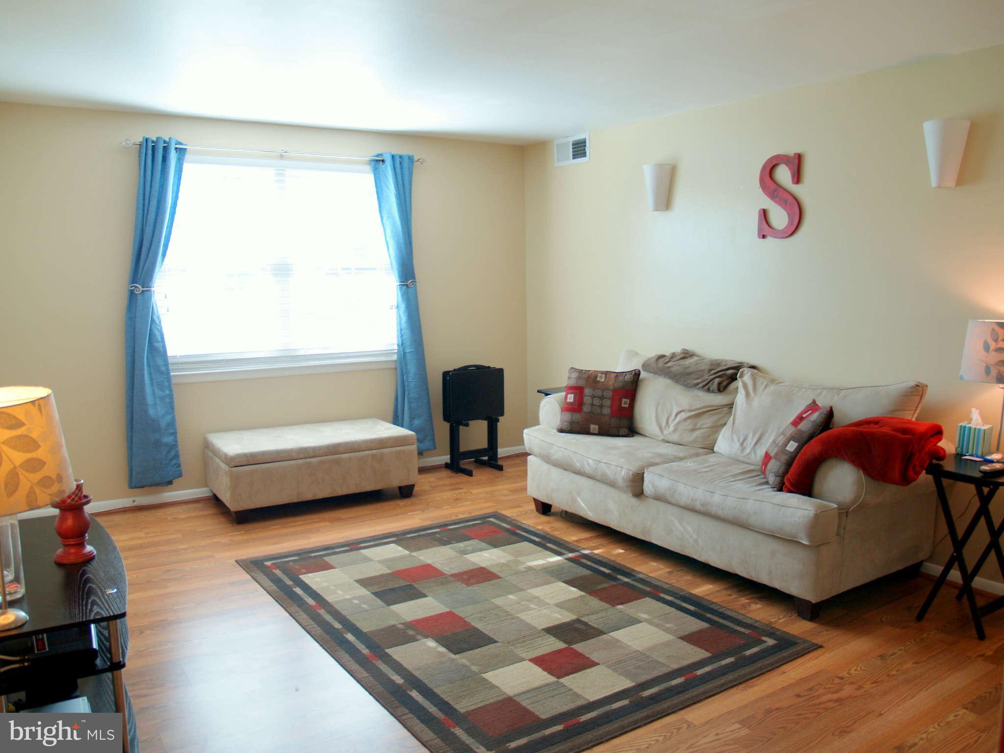4603 28th Road South, Unit A Arlington, VA 22206 - Photo 3 of 22 Living Room