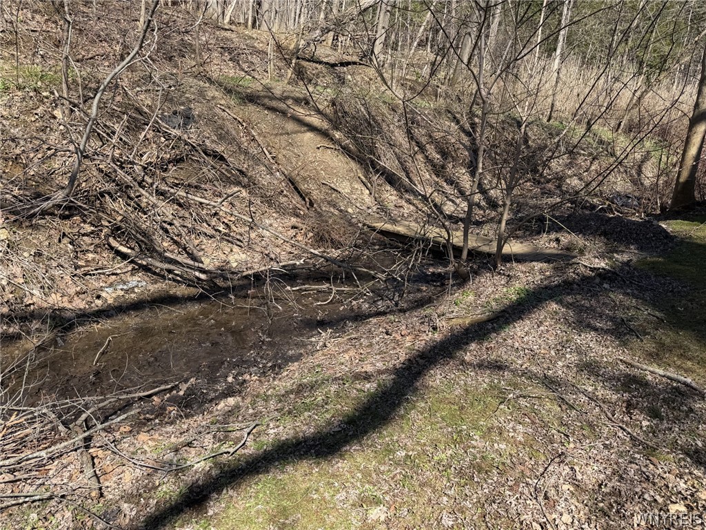 2040 Hemstreet Road Marilla, NY 14052 - Photo 2 of 24