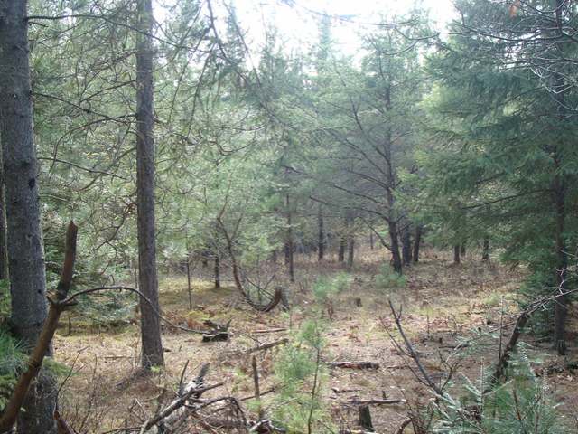9 Camp 9 Road Minocqua, WI 54548 - Photo 16 of 17 Gallery Image 16