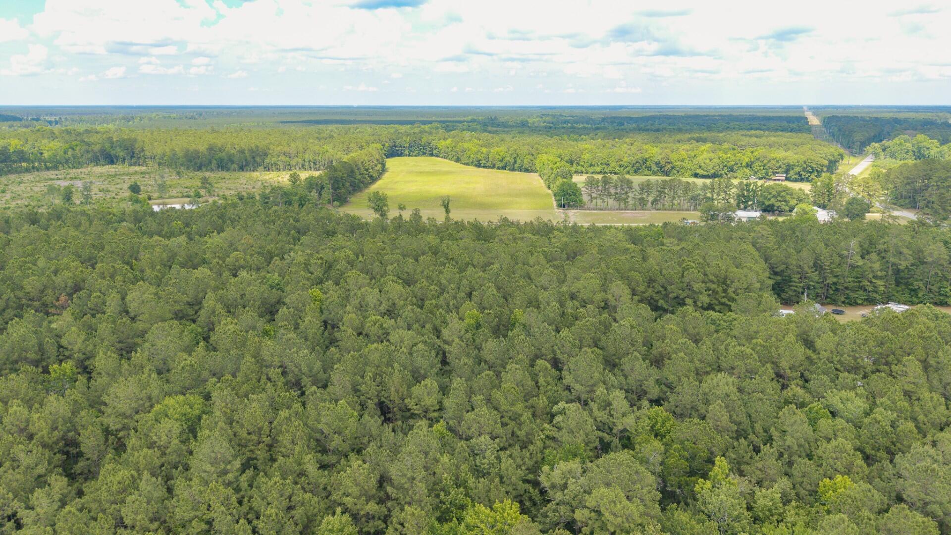 6222 Saints Delight Road, Unit LOT 8A Georgetown, SC 29440 - Photo 22 of 27