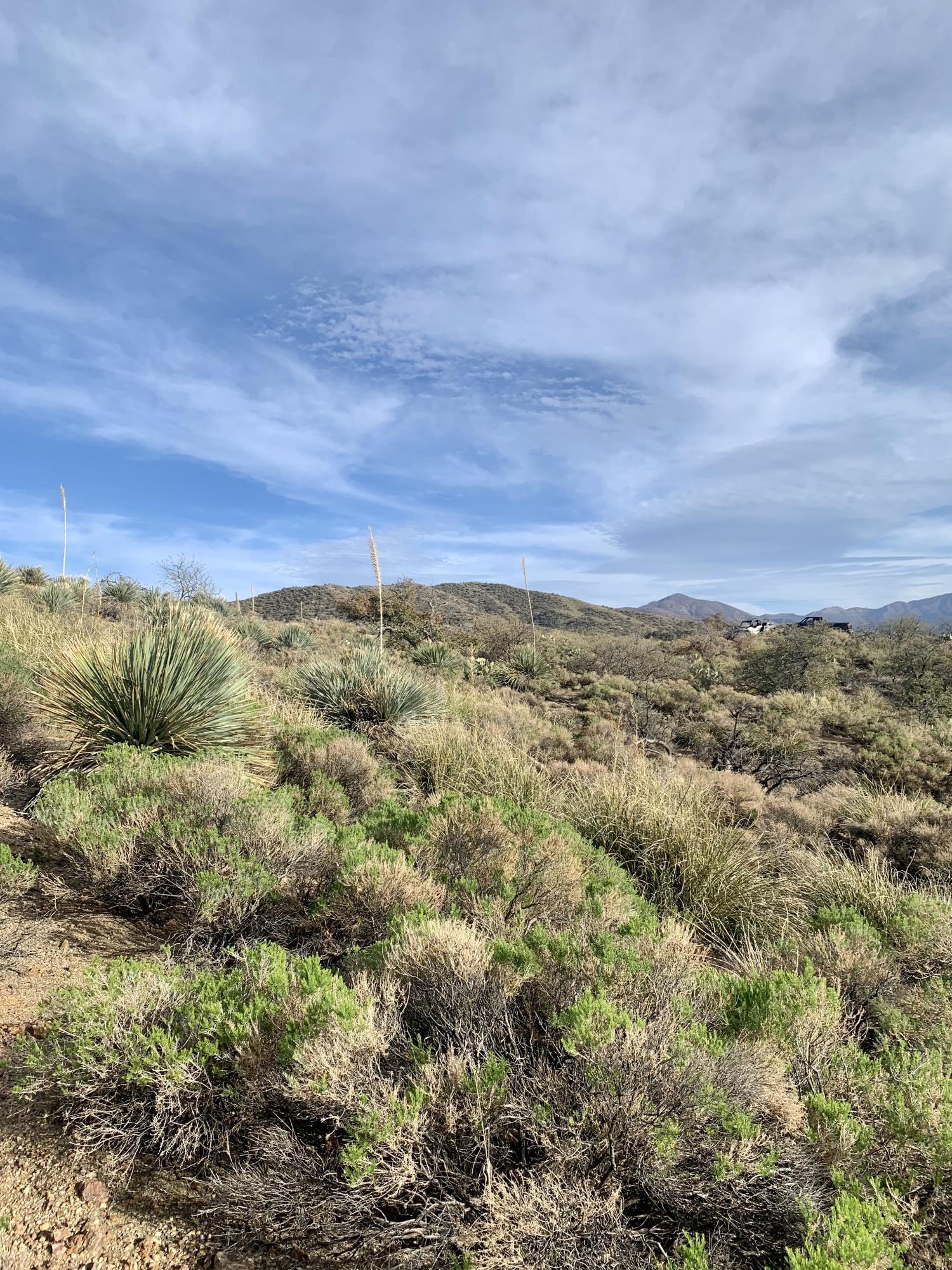 2.5 Acres Off Bachman Wash Road Oracle, AZ 85623 - Photo 10 of 10