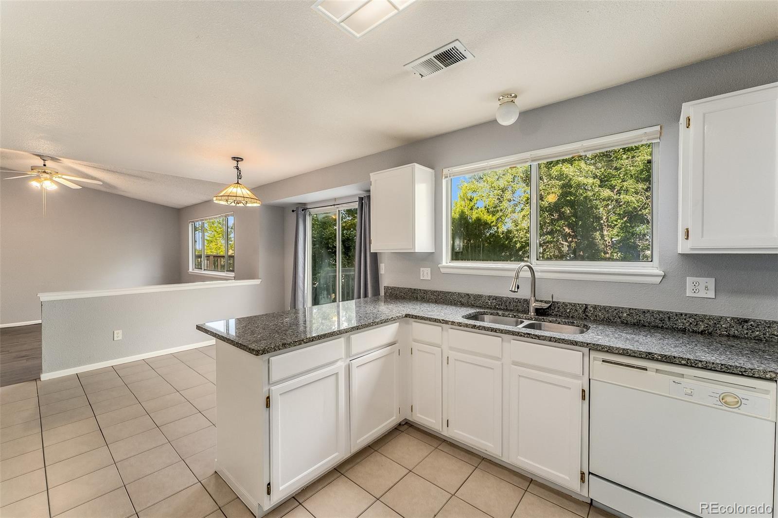 10452 Hyacinth Street Highlands Ranch, CO 80129 - Photo 9 of 24