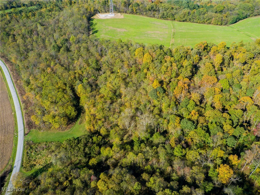 18125 Co Road Warsaw, OH 43844 - Photo 33 of 50 Gallery Image 33