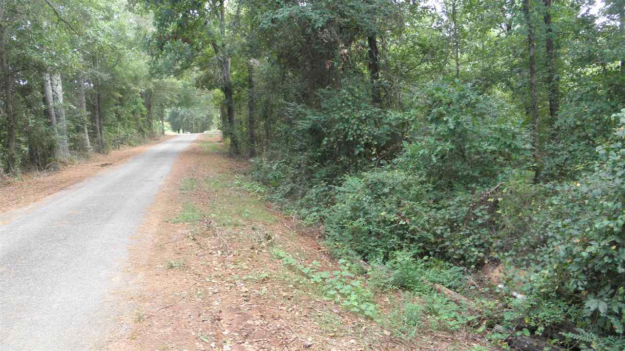 Lot #4 Ac /- Jim Smith Road Pendleton, SC 29670 - Photo 1 of 5