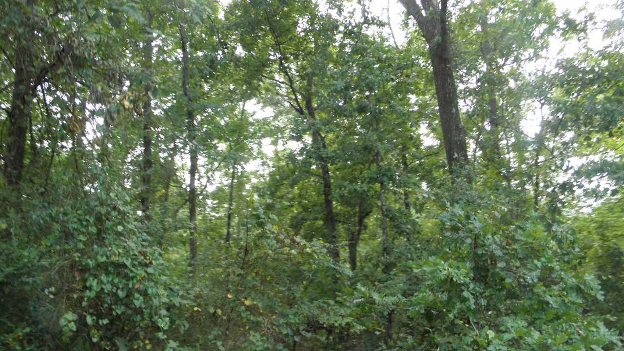 Lot #4 Ac /- Jim Smith Road Pendleton, SC 29670 - Photo 2 of 5