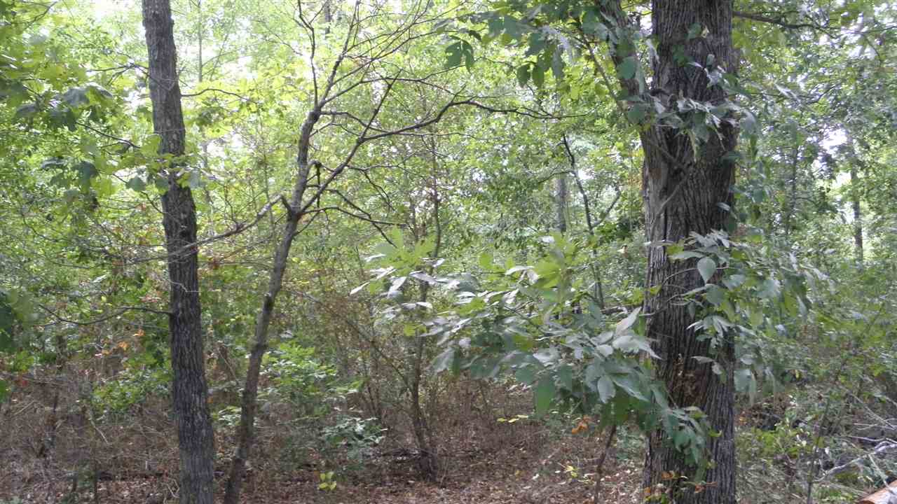 Lot #4 Ac /- Jim Smith Road Pendleton, SC 29670 - Photo 5 of 5