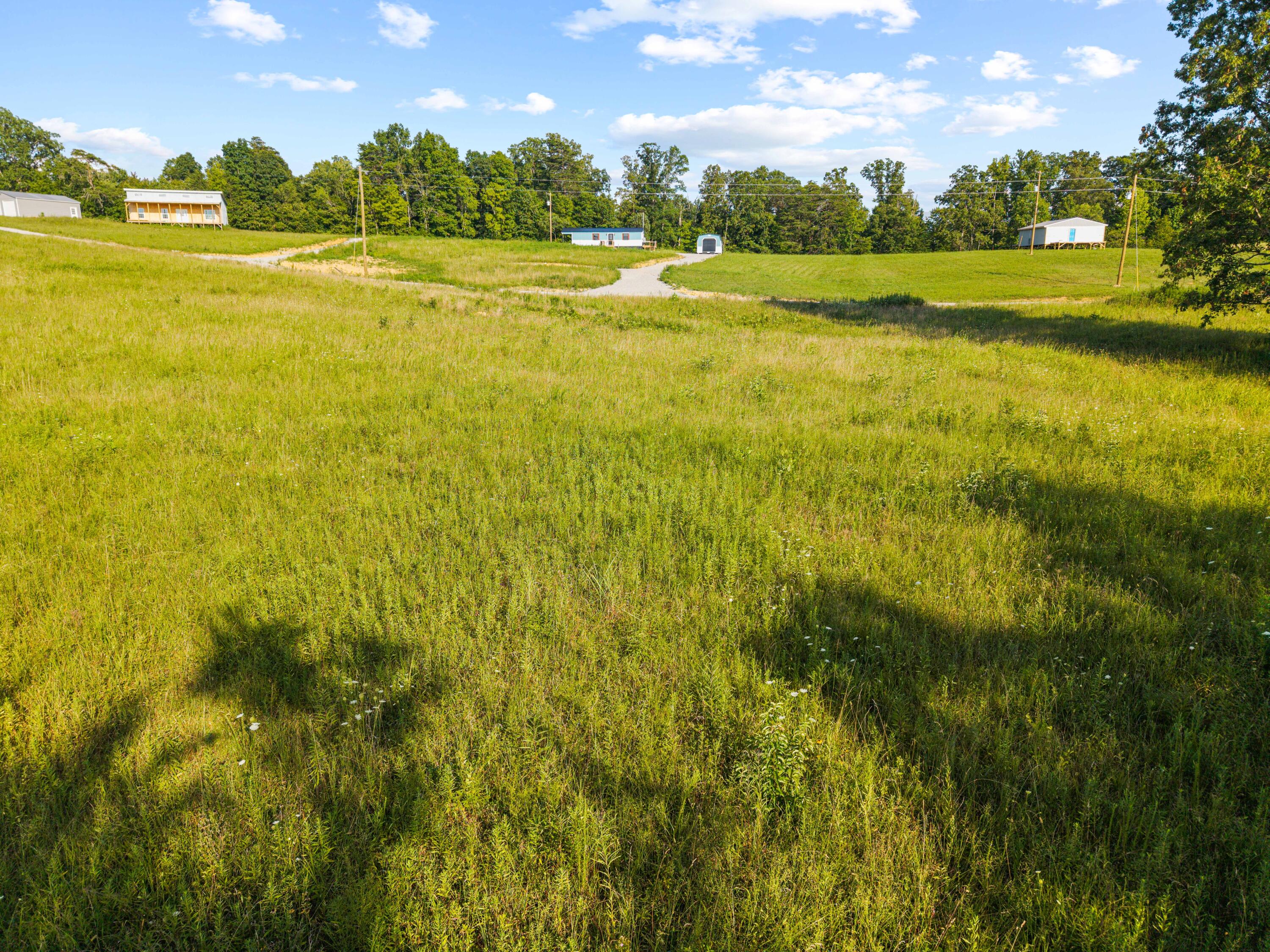 Lot 38 Spring Branch Hollow Road Nancy, KY 42544 - Photo 10 of 13 Spring Branch Lot Photo-09