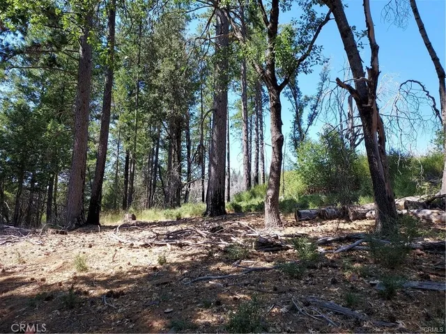 a view of backyard with green space