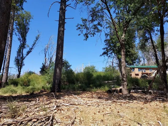 a view of a yard with trees