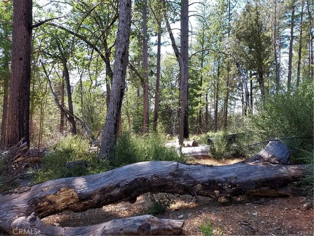 $29,997 | 16102 Sugar Pine Ridge Road, Cobb, CA 95426