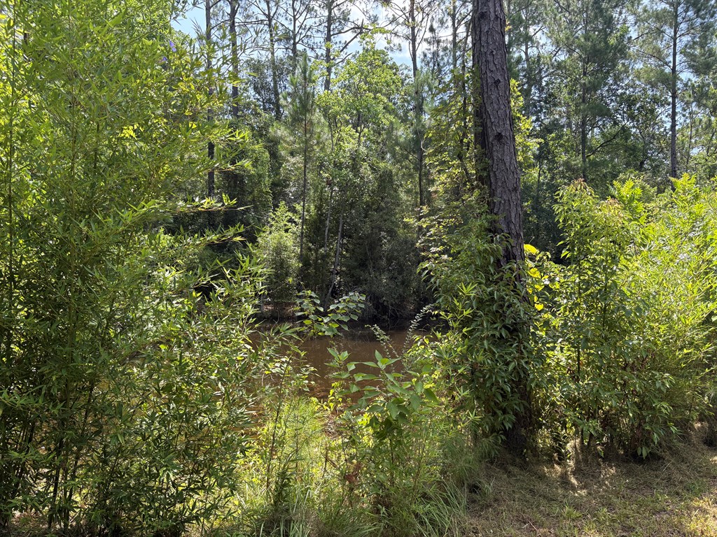 609 Lakegrove Road Wewahitchka, FL 32465 - Photo 35 of 39 Gallery Image 35