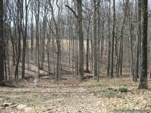 4810 South Owensburg Road Springville, IN 47462 - Photo 14 of 17