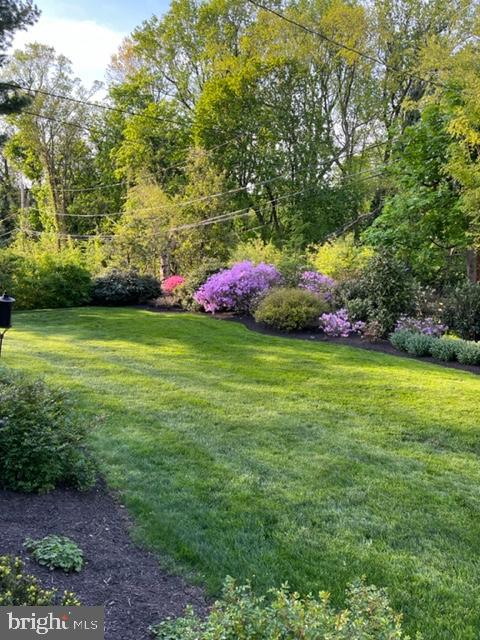 1413 Pepper Road Jenkintown, PA 19046 - Photo 59 of 65 a backyard of a house with lots of green space