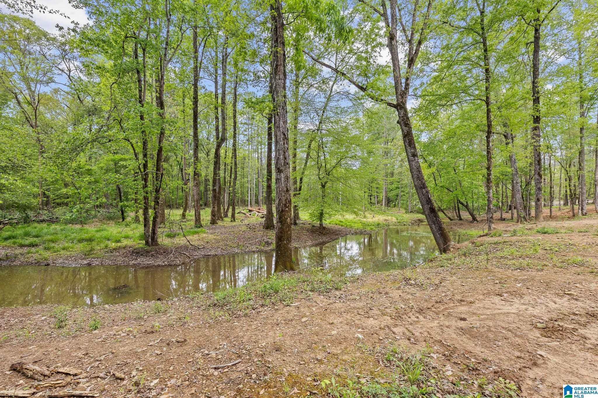 10936 Bear Creek Road Sterrett, AL 35147 - Photo 47 of 58