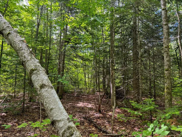 $190,000 | 568 Pattagumpus Road, Medway, ME 04460