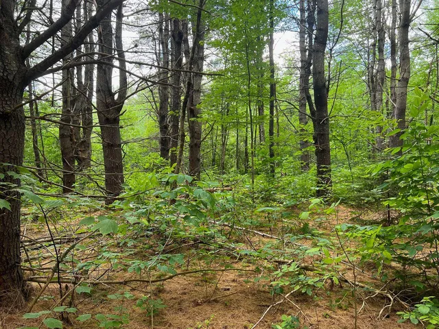 $190,000 | 568 Pattagumpus Road, Medway, ME 04460