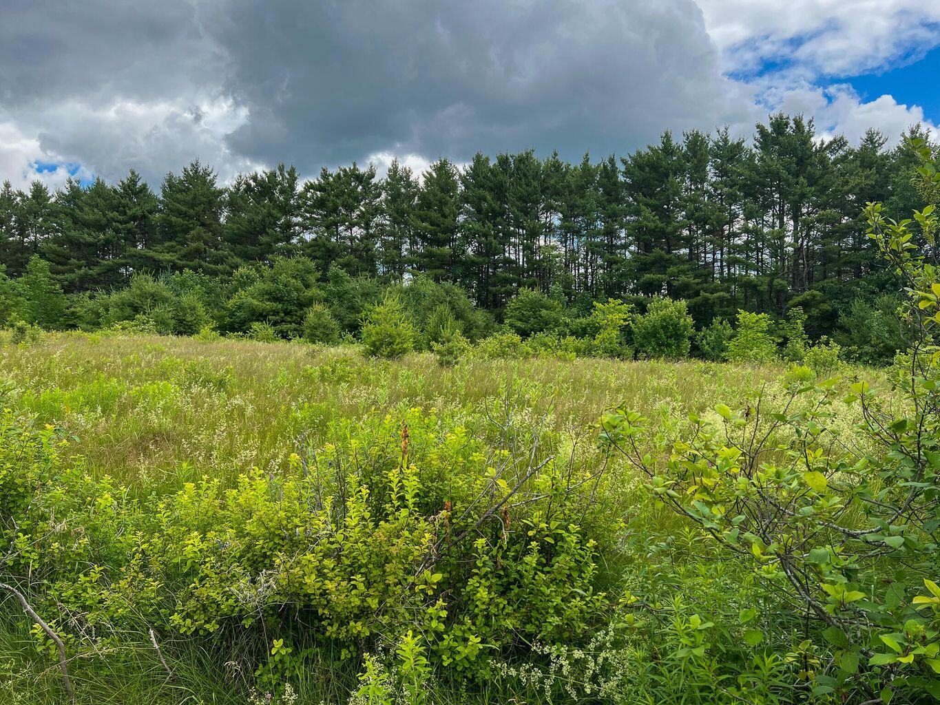 568 Pattagumpus Road Medway, ME 04460 - Photo 13 of 13 20220701155220311033000000-o