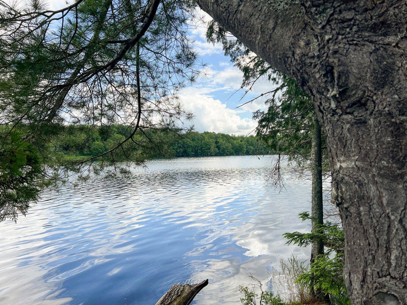 568 Pattagumpus Road Medway, ME 04460 - Photo 6 of 13 20220701155202701974000000-o