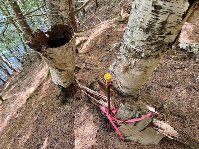 $190,000 | 568 Pattagumpus Road, Medway, ME 04460