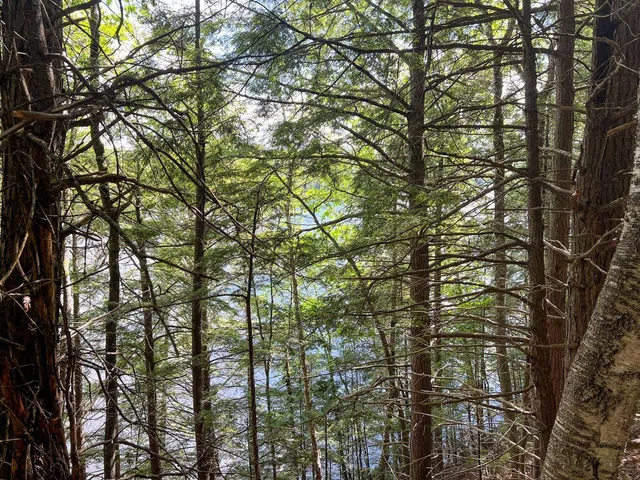 $190,000 | 568 Pattagumpus Road, Medway, ME 04460