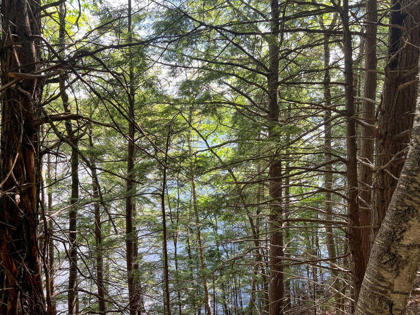 568 Pattagumpus Road Medway, ME 04460 - Photo 8 of 13 20220701155145389591000000-o