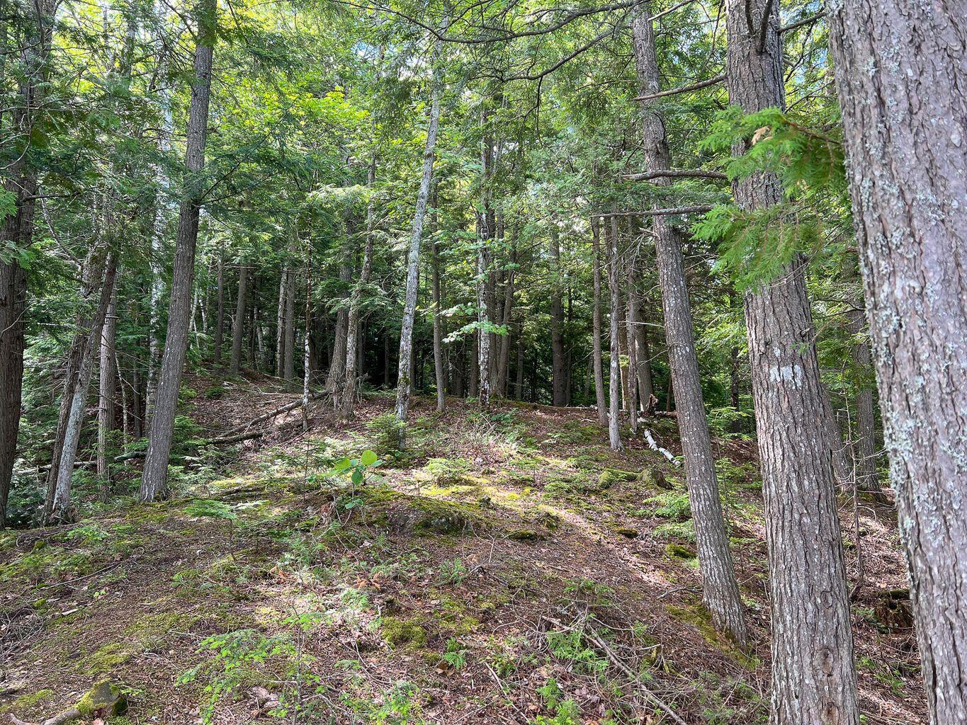 568 Pattagumpus Road Medway, ME 04460 - Photo 9 of 13 20220701155149352778000000-o