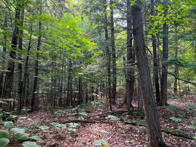 $190,000 | 568 Pattagumpus Road, Medway, ME 04460