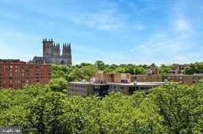 a view of a lake with a city