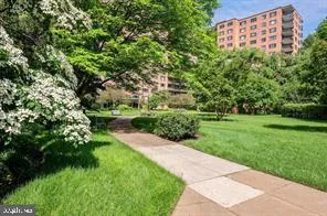 a view of a garden with a building
