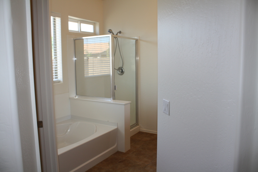 45358 Portabello Road Maricopa, AZ 85139 - Photo 9 of 20 Master Bath 1