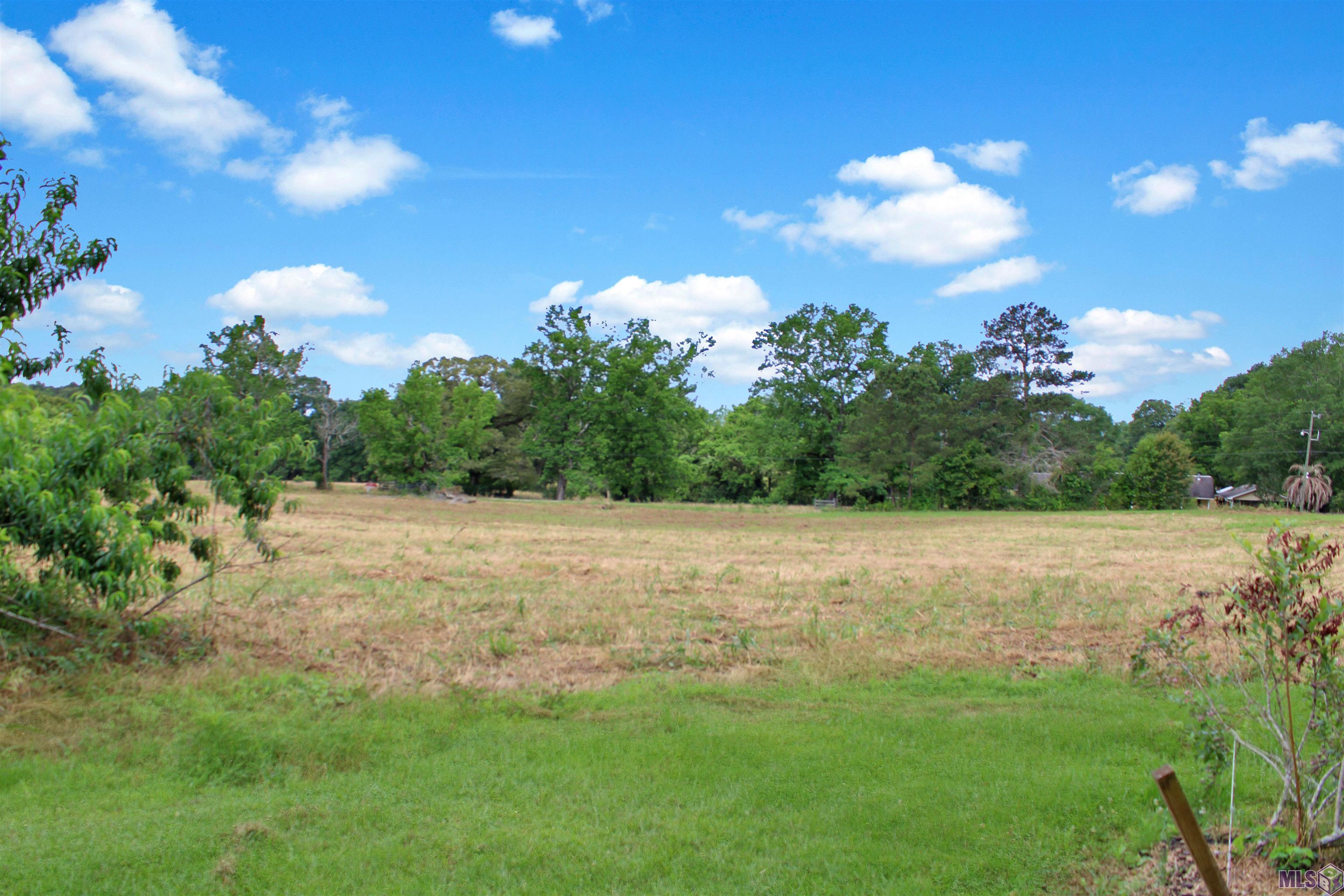 720 Highway 31 Amite, LA 70422 - Photo 12 of 60