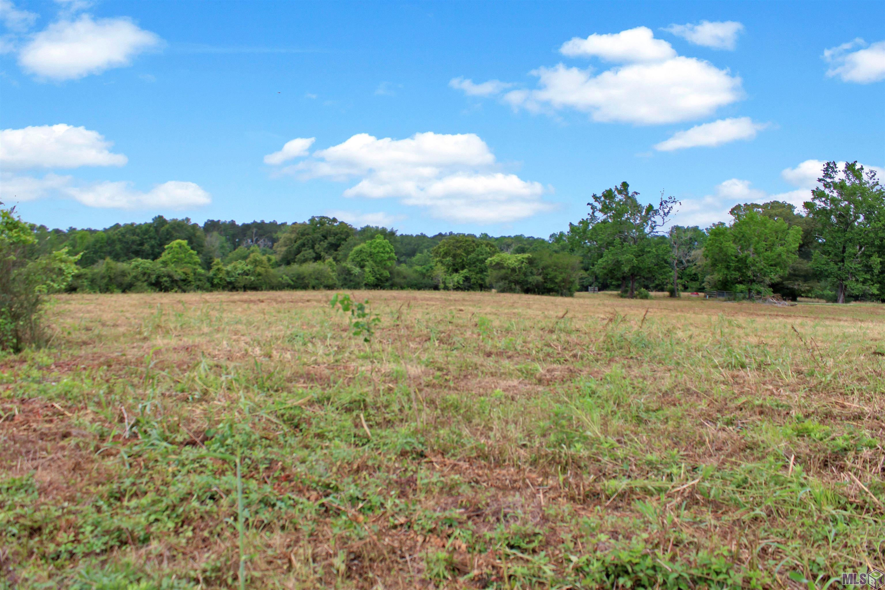 720 Highway 31 Amite, LA 70422 - Photo 13 of 60