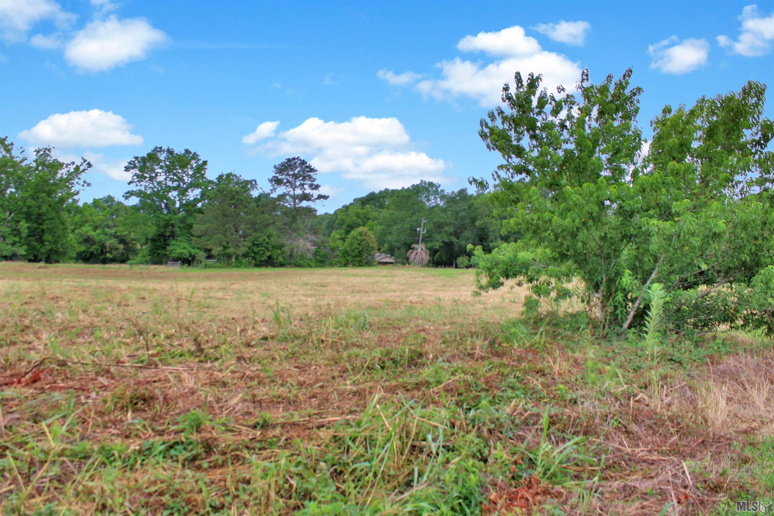 720 Highway 31 Amite, LA 70422 - Photo 16 of 60