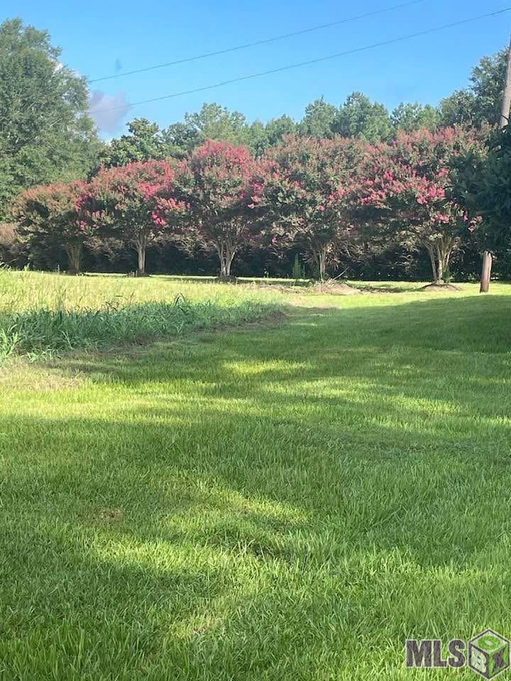 720 Highway 31 Amite, LA 70422 - Photo 28 of 60