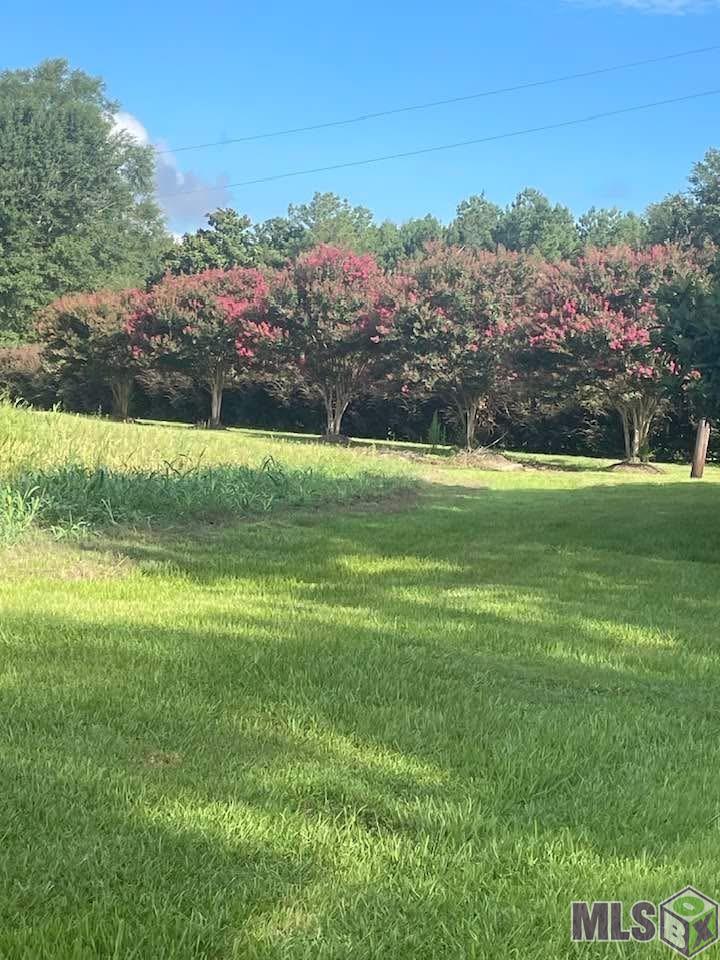 720 Highway 31 Amite, LA 70422 - Photo 29 of 60