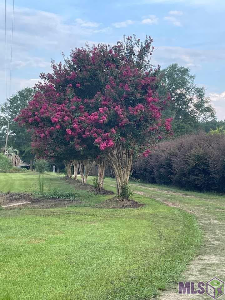 720 Highway 31 Amite, LA 70422 - Photo 30 of 60