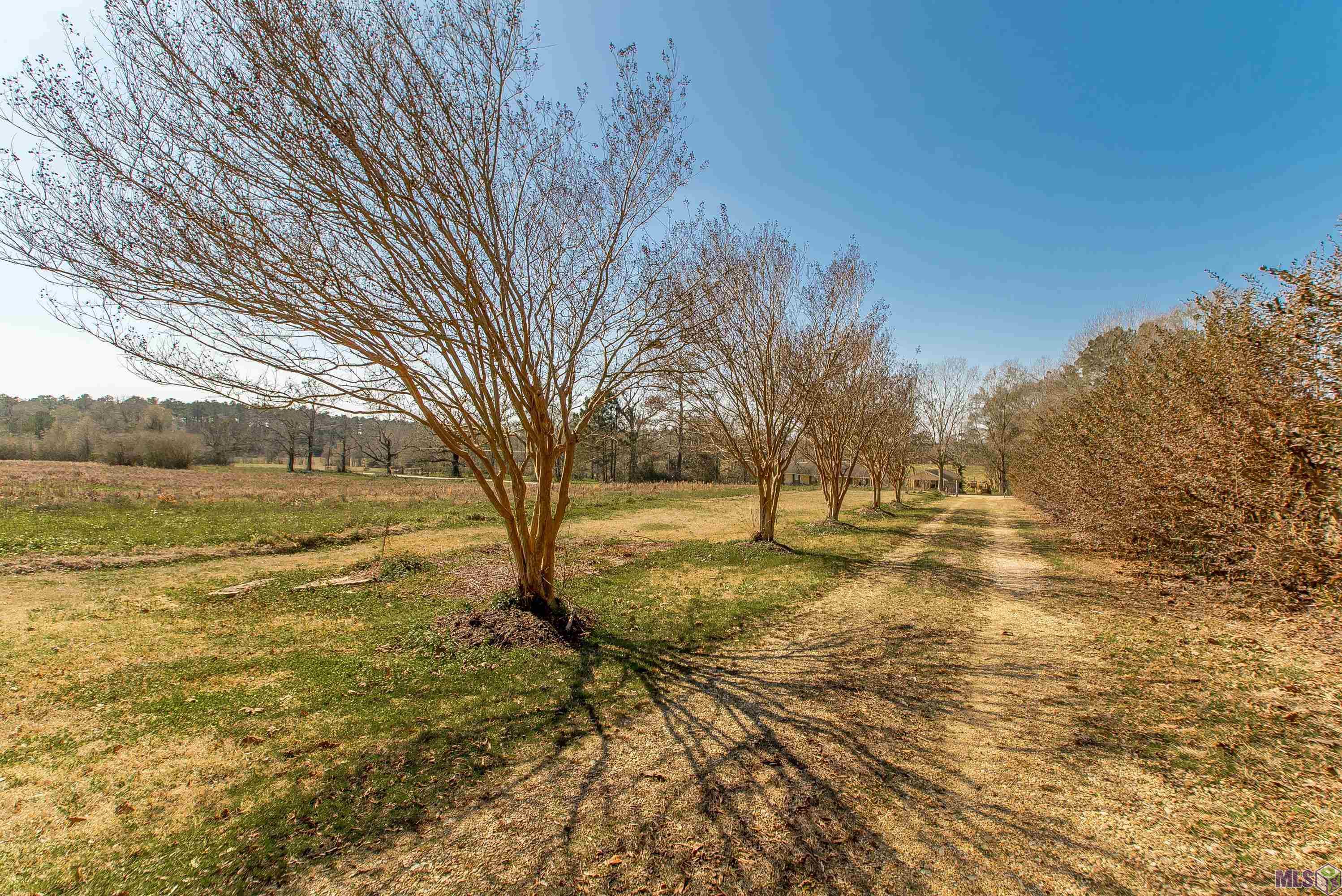 720 Highway 31 Amite, LA 70422 - Photo 52 of 60