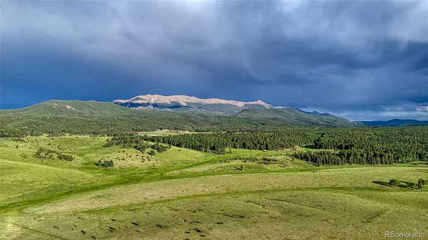 a view of a field with an trees