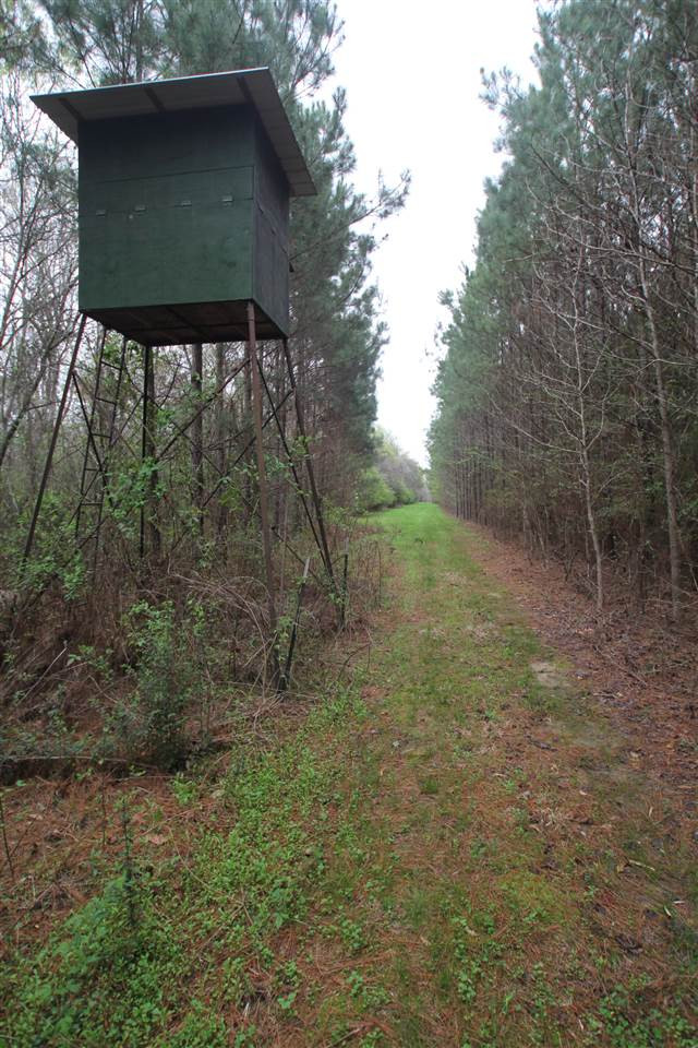524 Goodloe Road Canton, MS 39046 - Photo 19 of 27 Photo 21