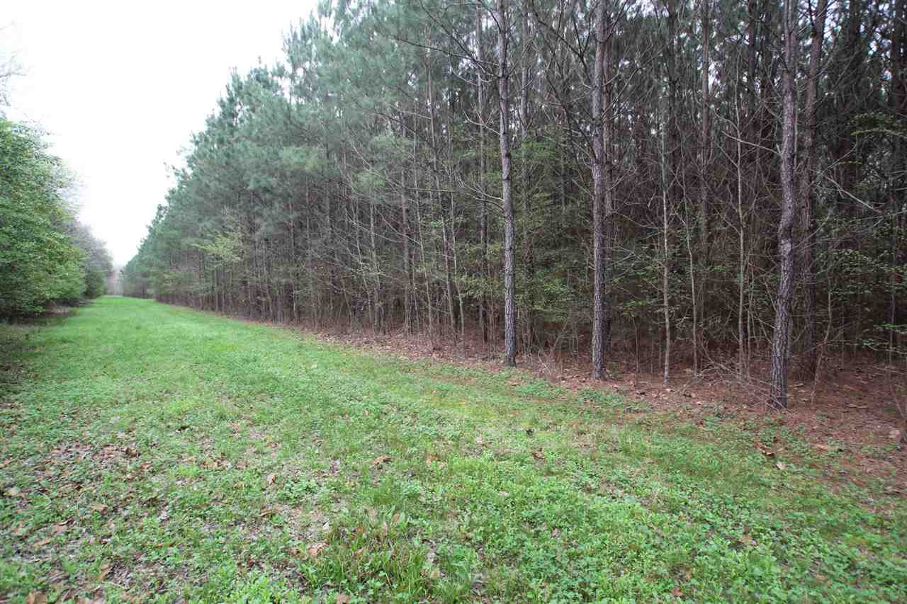 524 Goodloe Road Canton, MS 39046 - Photo 20 of 27 Photo 22